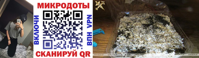 Галлюциногенные грибы Psilocybe  Чадан 